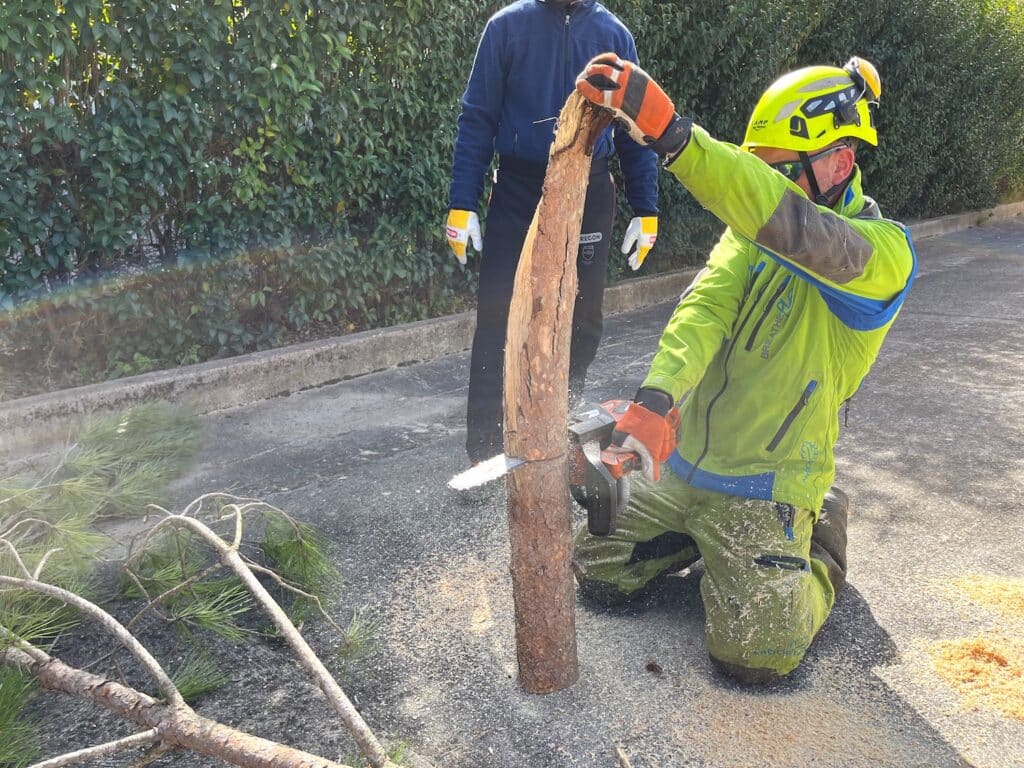 corso motosega obbligatorio